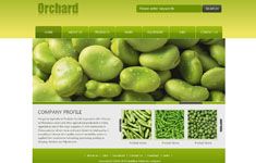 蔬菜企业英文网站